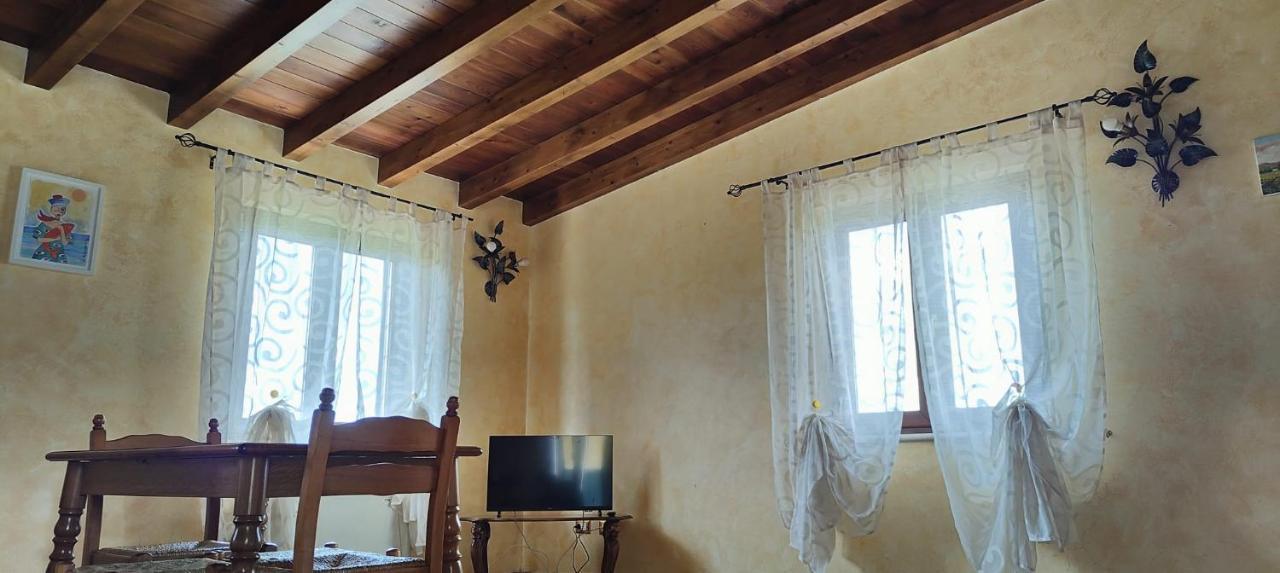 B&B Camera Delle Camelie 帕莱斯特里纳 外观 照片
